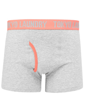 Eastford 2 (2 Pack) Boxer Shorts Set in Purple Opulence / Fusion Coral - Tokyo Laundry