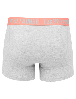 Eastford 2 (2 Pack) Boxer Shorts Set in Purple Opulence / Fusion Coral - Tokyo Laundry