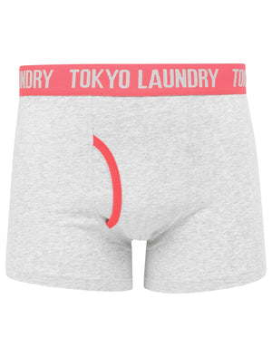 Eastford 2 (2 Pack) Boxer Shorts Set in Yolk Yellow / Paradise Pink - Tokyo Laundry