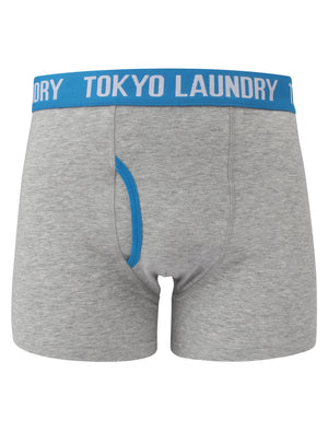Eastford (2 Pack) Boxer Shorts Set in Dark Peach / Blue Moon - Tokyo Laundry