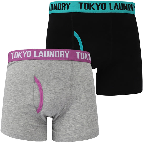 Eastford (2 Pack) Boxer Shorts Set in Porcelain Green / Radiant Orchid - Tokyo Laundry
