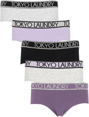 Elle (5 Pack) Assorted Hipster Briefs In Lilac / Black / Mulled Grape / Light Grey Marl - Tokyo Laundry