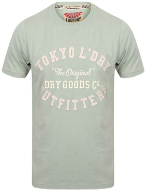 Ellsworth Applique Cotton T-Shirt In Pale Mint - Tokyo Laundry