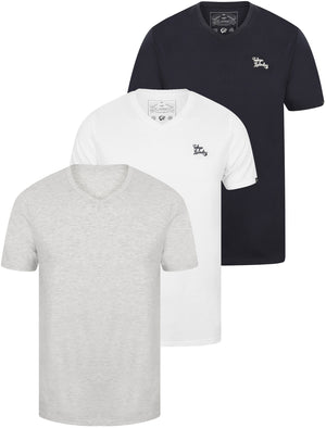 Essentials (3 Pack) V Neck Cotton T-Shirts In Bright White / Heather Grey Marl / Iris Navy - Tokyo Laundry