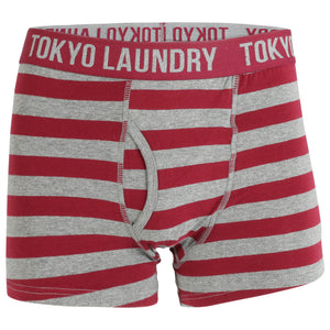 Esterbrooke (2 Pack) Striped Boxer Shorts Set in Grey Marl / White - Tokyo Laundry