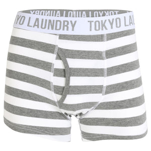 Esterbrooke (2 Pack) Striped Boxer Shorts Set in Grey Marl / White - Tokyo Laundry