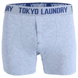 Eversholt (2 Pack) Boxer Shorts Set in Estate Blue / Grey Marl - Tokyo Laundry