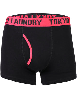 Evins (2 Pack) Boxer Shorts Set in Virdian Green / Purple - Tokyo Laundry