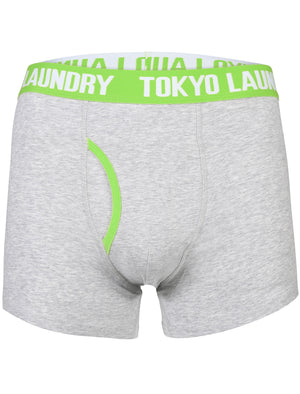 Evins (2 Pack) Boxer Shorts Set in Virdian Green / Purple - Tokyo Laundry