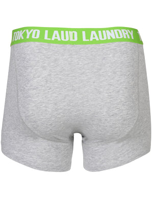 Evins (2 Pack) Boxer Shorts Set in Virdian Green / Purple - Tokyo Laundry