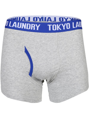 Evins (2 Pack) Boxer Shorts Set in Yellow Iris / Blue - Tokyo Laundry