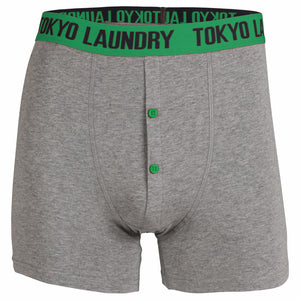 Exmouth (2 Pack) Boxer Shorts Set in Dewberry / Green - Tokyo Laundry