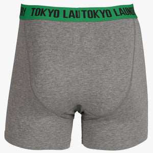 Exmouth (2 Pack) Boxer Shorts Set in Dewberry / Green - Tokyo Laundry