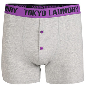 Exmouth (2 Pack) Boxer Shorts Set in Dewberry / Green - Tokyo Laundry