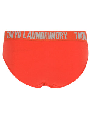 Eyelyn (3 Pack) Assorted Briefs In Silver Lake Blue / Tomato / Grey Marl - Tokyo Laundry