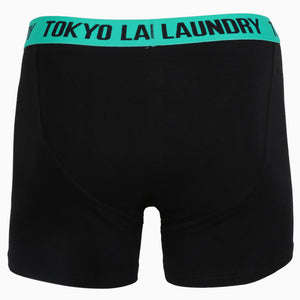 Fairbairn (2 Pack) Boxer Shorts Set in Pink / Virdian Green - Tokyo Laundry