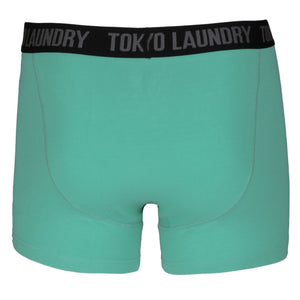 Fairholt (2 Pack) Boxer Shorts Set in Purple / Agate Green - Tokyo Laundry