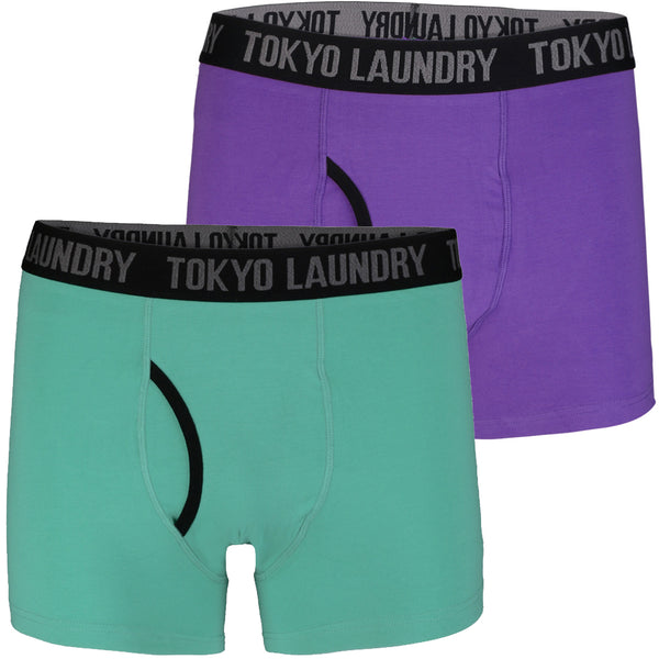 Fairholt (2 Pack) Boxer Shorts Set in Purple / Agate Green - Tokyo Laundry