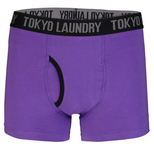 Fairholt (2 Pack) Boxer Shorts Set in Purple / Agate Green - Tokyo Laundry