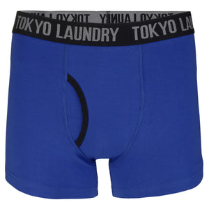 Fairholt (2 Pack) Boxer Shorts Set in Ocean / Yellow Iris - Tokyo Laundry