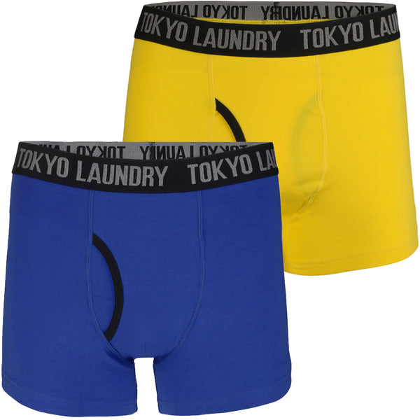 Fairholt (2 Pack) Boxer Shorts Set in Ocean / Yellow Iris - Tokyo Laundry