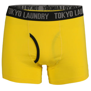 Fairholt (2 Pack) Boxer Shorts Set in Ocean / Yellow Iris - Tokyo Laundry
