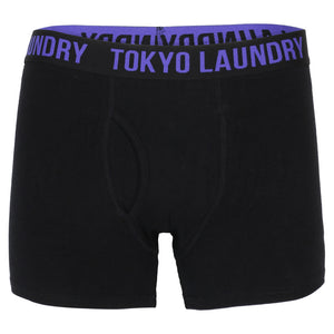 Falconberg (2 Pack) Boxer Shorts Set Tomato / Purple - Tokyo Laundry