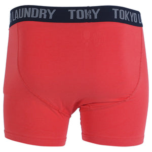 Farren (2 Pack) Boxer Shorts Set in Dark Navy / Paprika - Tokyo Laundry