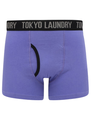 Felixstowe 2 (2 Pack) Boxer Shorts Set in Blazing Orange / Purple Opulence - Tokyo Laundry