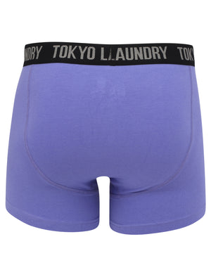 Felixstowe 2 (2 Pack) Boxer Shorts Set in Blazing Orange / Purple Opulence - Tokyo Laundry