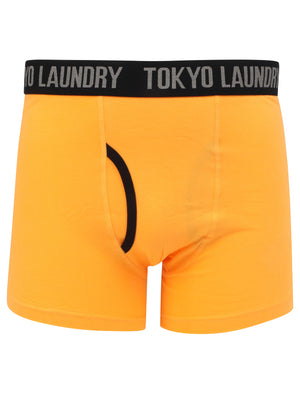 Felixstowe 2 (2 Pack) Boxer Shorts Set in Blazing Orange / Purple Opulence - Tokyo Laundry