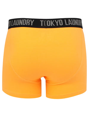 Felixstowe 2 (2 Pack) Boxer Shorts Set in Blazing Orange / Purple Opulence - Tokyo Laundry