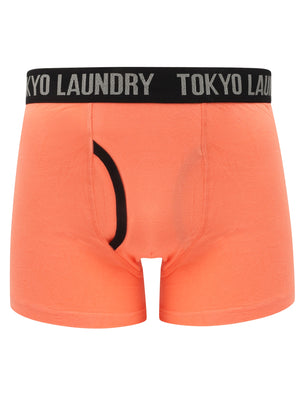 Felixstowe (2 Pack) Boxer Shorts Set in Fusion Coral / Swedish Blue - Tokyo Laundry