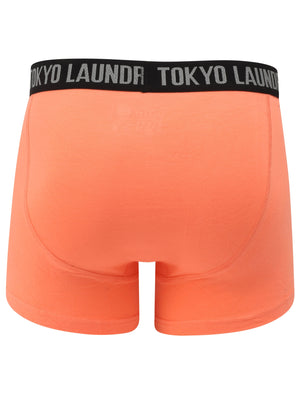 Felixstowe (2 Pack) Boxer Shorts Set in Fusion Coral / Swedish Blue - Tokyo Laundry