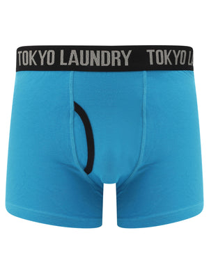 Felixstowe (2 Pack) Boxer Shorts Set in Fusion Coral / Swedish Blue - Tokyo Laundry