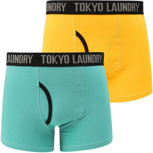 Felixstowe (2 Pack) Boxer Shorts Set in Agate Green / Yellow Iris - Tokyo Laundry