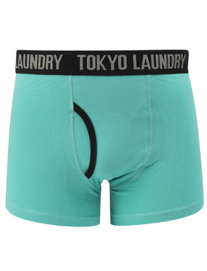 Felixstowe (2 Pack) Boxer Shorts Set in Agate Green / Yellow Iris - Tokyo Laundry