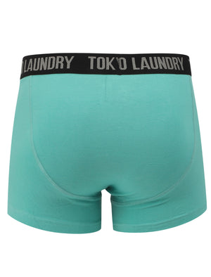 Felixstowe (2 Pack) Boxer Shorts Set in Agate Green / Yellow Iris - Tokyo Laundry