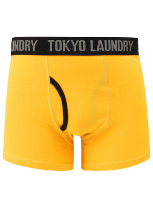 Felixstowe (2 Pack) Boxer Shorts Set in Agate Green / Yellow Iris - Tokyo Laundry