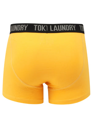 Felixstowe (2 Pack) Boxer Shorts Set in Agate Green / Yellow Iris - Tokyo Laundry