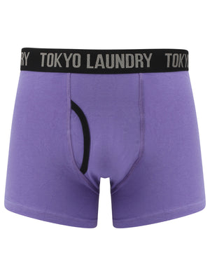 Felixstowe (2 Pack) Boxer Shorts Set in Purple Opulence / Paradise Pink - Tokyo Laundry