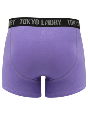 Felixstowe (2 Pack) Boxer Shorts Set in Purple Opulence / Paradise Pink - Tokyo Laundry