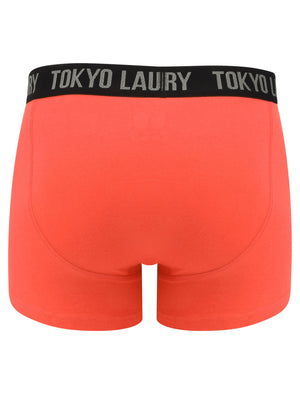 Felixstowe (2 Pack) Boxer Shorts Set in Purple Opulence / Paradise Pink - Tokyo Laundry