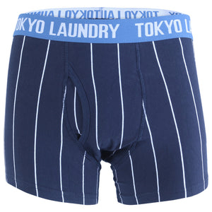 Fenwick (2 Pack) Striped Boxer Shorts Set in Oxblood / Navy - Tokyo Laundry