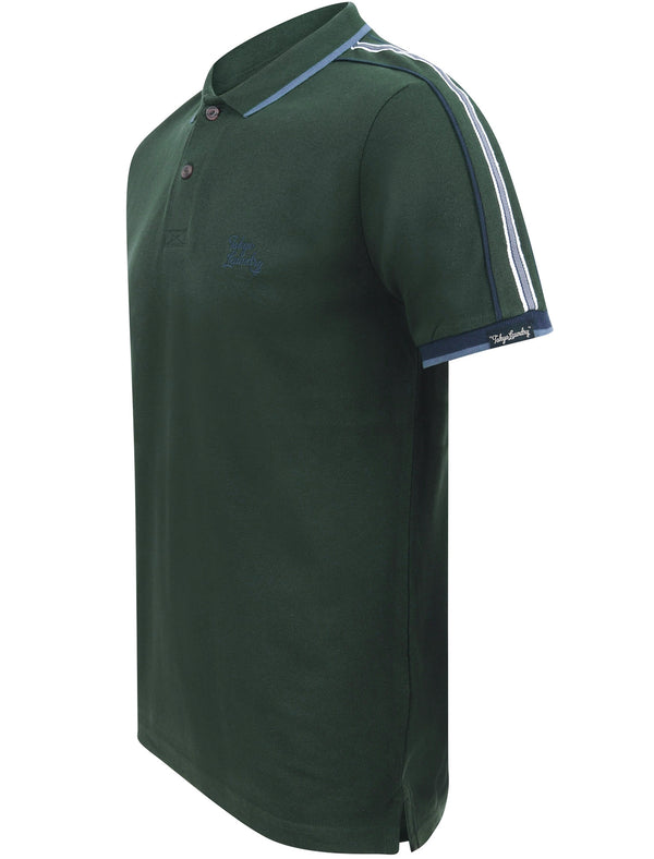 Finley Point 2 Cotton Piqué Polo Shirt with Tape Detail In Pine Grove - Tokyo Laundry