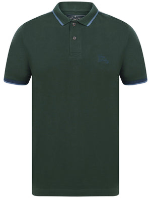 Finley Point 2 Cotton Piqué Polo Shirt with Tape Detail In Pine Grove - Tokyo Laundry