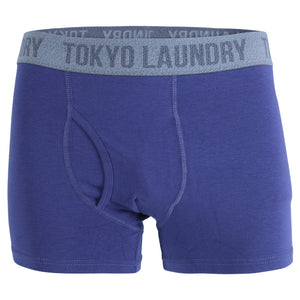 Finsen (2 Pack) Boxer Shorts Set in Cobalt / Dark Grey Marl - Tokyo Laundry
