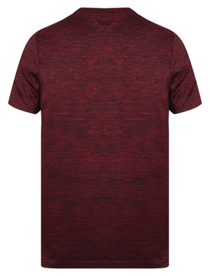 Fitchburg Reflective Motif T-Shirt In Windsor Wine - Tokyo Laundry Active