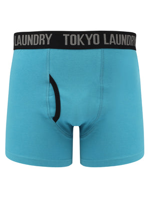 Flatford (2 Pack) Boxer Shorts Set in Blue Moon / Yellow Iris - Tokyo Laundry