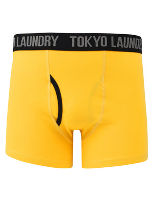 Flatford (2 Pack) Boxer Shorts Set in Blue Moon / Yellow Iris - Tokyo Laundry